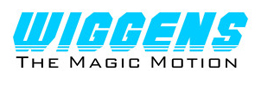 WIGGENS Laboratory Stirrer